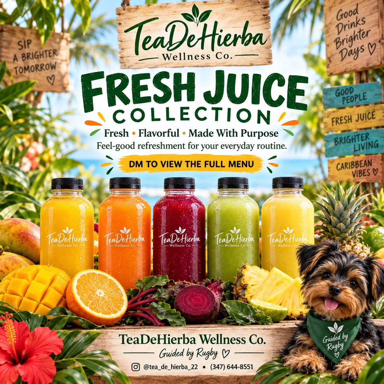 Fresh juice bottles with fruit and Rugby