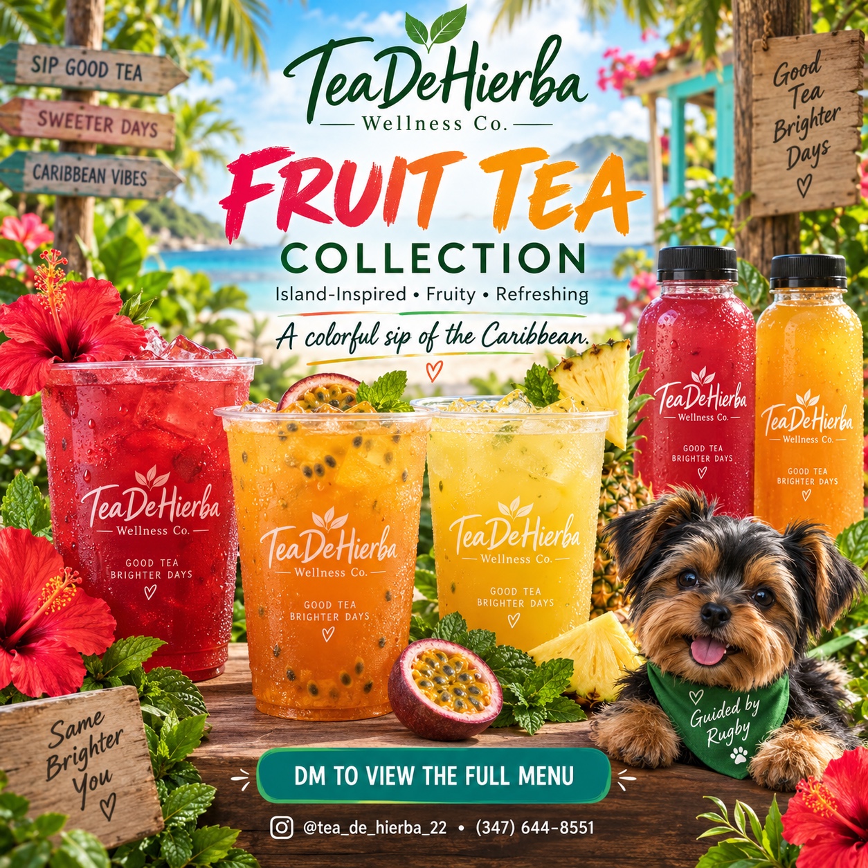 Colorful TeaDeHierba fruit teas with Rugby